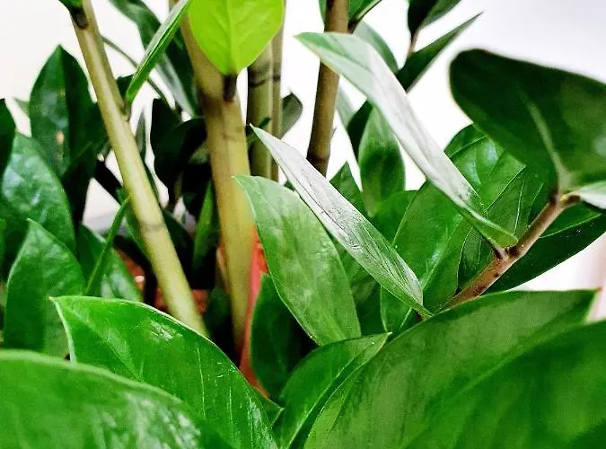 Apartmán 2 Bedroom Cozy Near Tourist Area, 200m From Sea Paphos