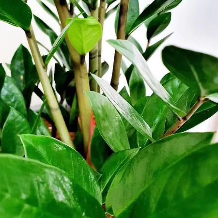 Lägenhet 2 Bedroom Cozy Near Tourist Area, 200m From Sea Paphos